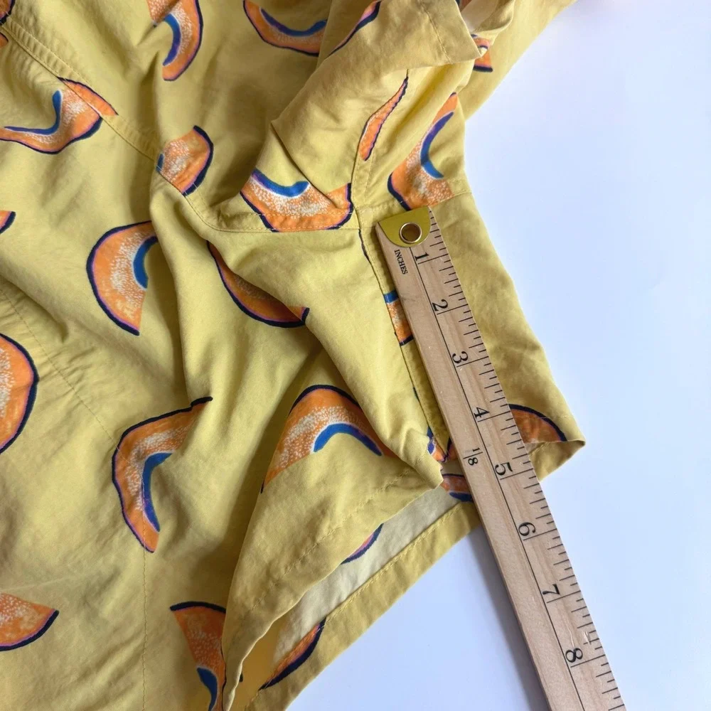 Patagonia baggies shorts